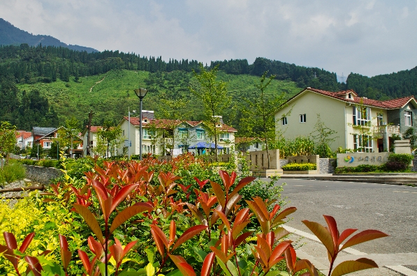 齐心共走致富路——四川省彭州市龙门山镇宝山村简介